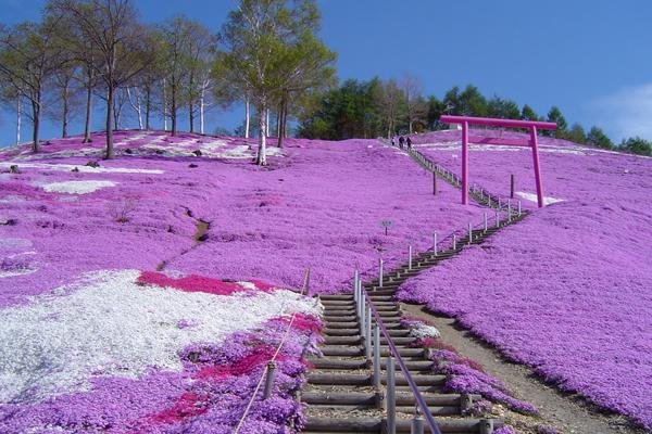 鳥居/桃園神社/臺灣神社列表所列者為日本統治臺灣50年期間日