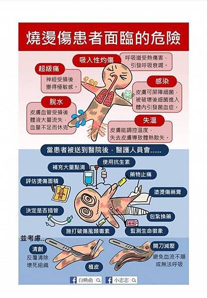 八仙塵爆事件/ＳＡＲＳ風暴時期的大合唱曲《手牽手》/本土古典