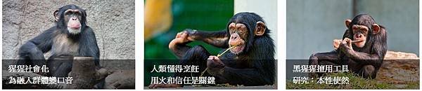 美國石溪大學發表於《自然》期刊的研究，研究員仔細測量了人類、