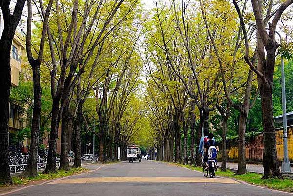 全球大學學科排名/全球大學畢業生就業能力/十二所頂大包括台大