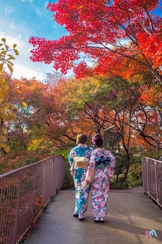 日本和服/嘉義「檜意森活村」全臺最大的日式建築群/臺灣第一座