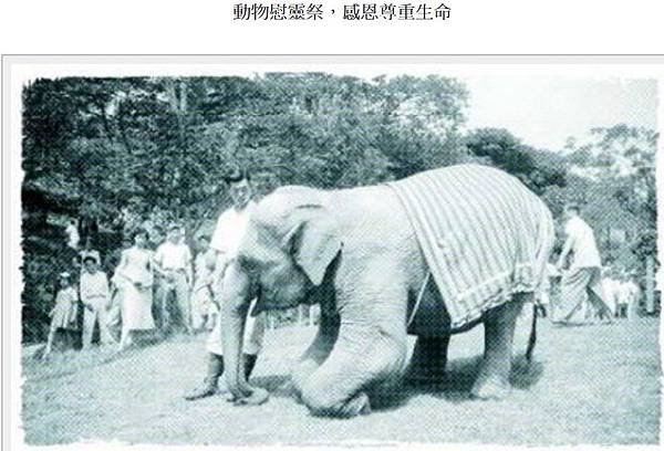 林旺+馬蘭/1924年動物慰靈祭專為往生動物所辦的慰靈祭活動