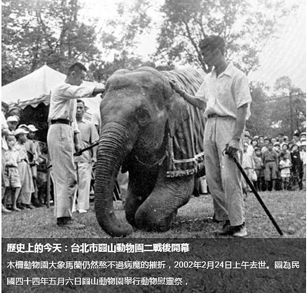 林旺+馬蘭/1924年動物慰靈祭專為往生動物所辦的慰靈祭活動