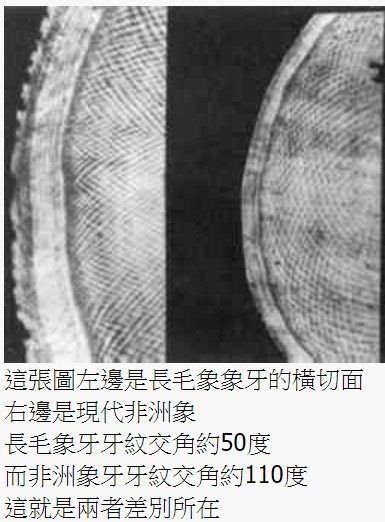 走私象牙/象牙印章/「史垂格線」特徵/丁雲鵬《天咫偶聞》中國