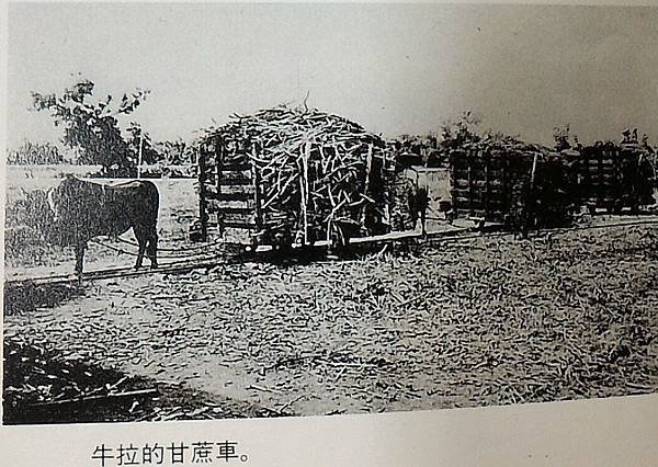 火車鐵道迷必看電影，將軍號/《火車進站》（1895）是全世界