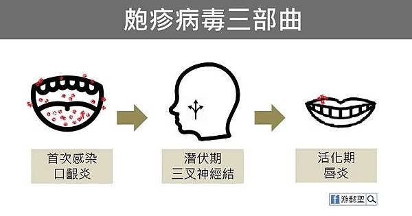 帶狀皰疹疫苗+汗皰疹/唇皰疹/蕁麻疹/有一種皮膚病，很教人討