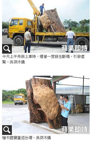 山老鼠+盜伐3塊總重近2百公斤台灣檜木+近二噸台灣檜木，除形