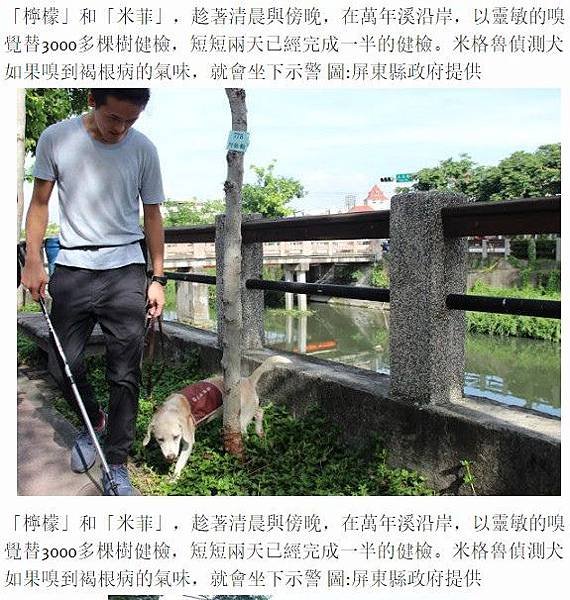 檢疫犬/愛狗貓/幾千年前，人類與狗開始共同進化。為了群居理由