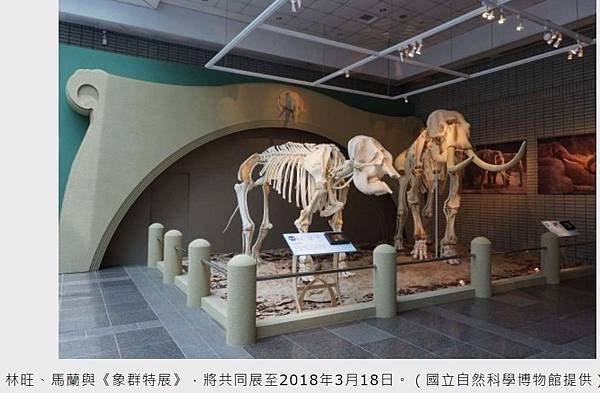 林旺+馬蘭/1924年動物慰靈祭專為往生動物所辦的慰靈祭活動