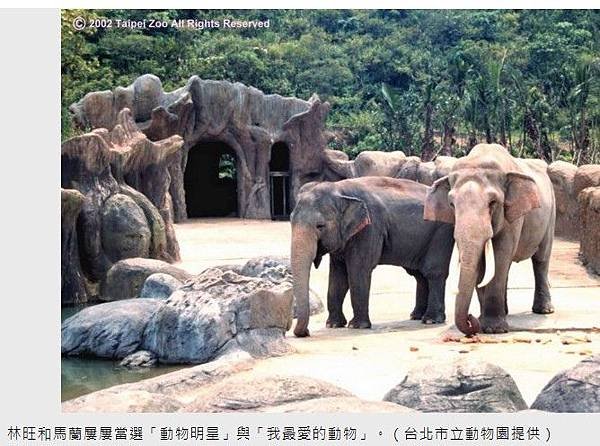 林旺+馬蘭/1924年動物慰靈祭專為往生動物所辦的慰靈祭活動