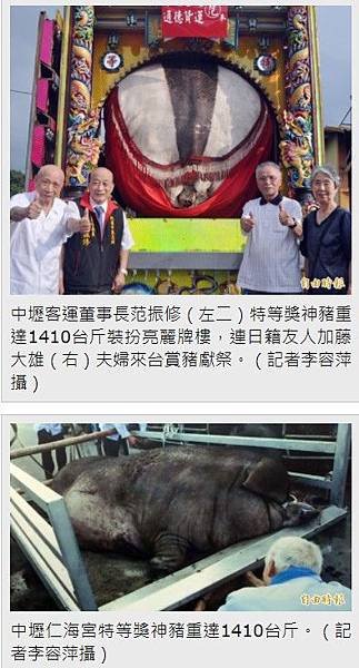 賽神豬文化/「賽神豬」背後涉及的他者痛苦與動物虐待問題，並以