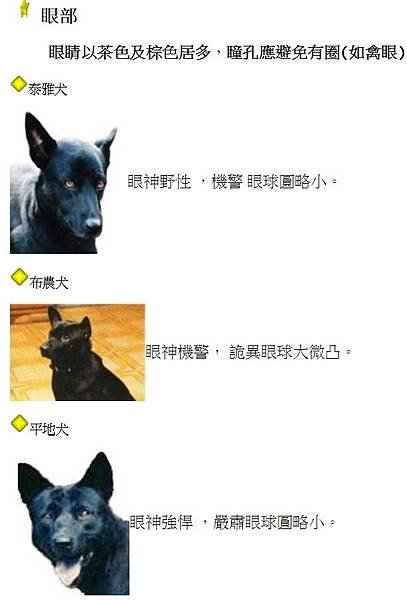 忠心台灣土狗獲國際認證正名「台灣犬」/台灣土狗通過70多個會