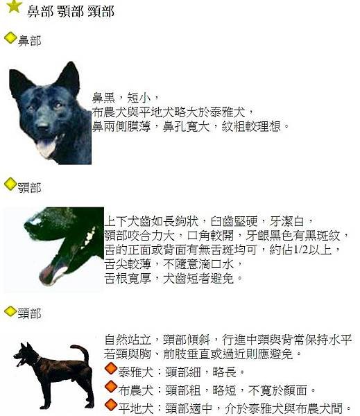 忠心台灣土狗獲國際認證正名「台灣犬」/台灣土狗通過70多個會