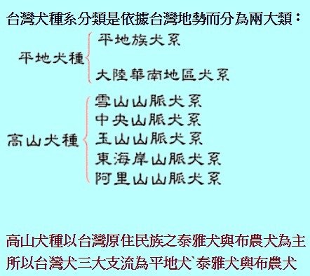 忠心台灣土狗獲國際認證正名「台灣犬」/台灣土狗通過70多個會