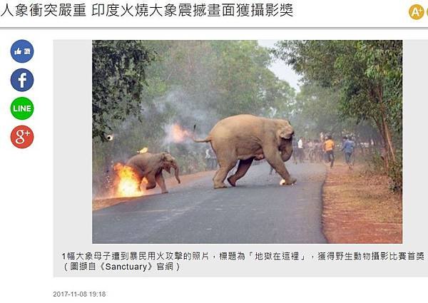 林旺+馬蘭/1924年動物慰靈祭專為往生動物所辦的慰靈祭活動