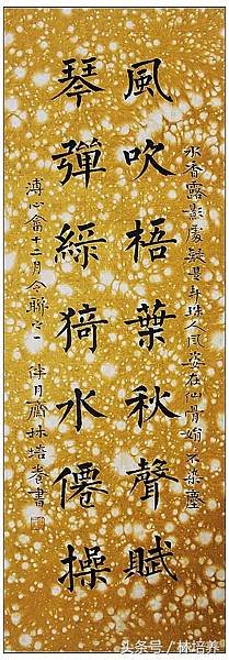 191s0003qooqs74262qq