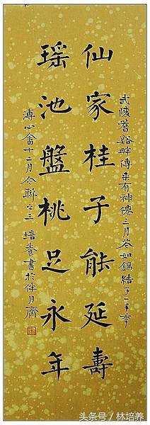 19200003rp4rn62648p8