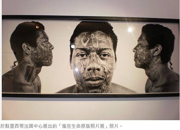 刺青文化-生活帶來您時檸檬做檸檬水/《瘋狂生命》（La vi