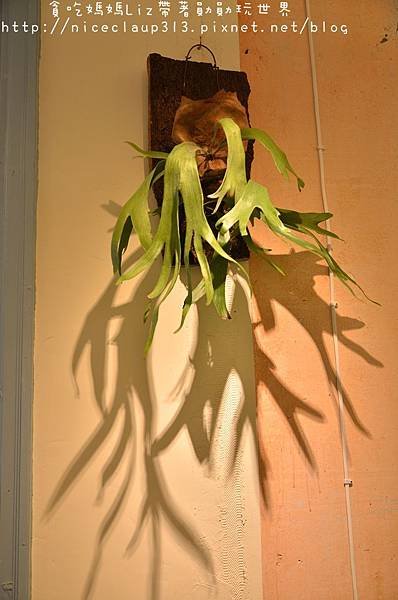 DSC_5477_nEO_IMG.jpg