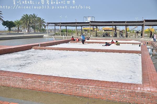 DSC_8039_nEO_IMG.jpg