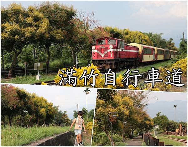 collage4.jpg
