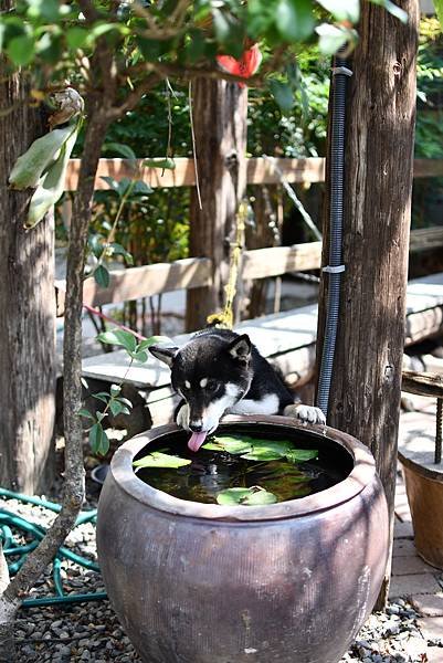 DSC_5719.JPG