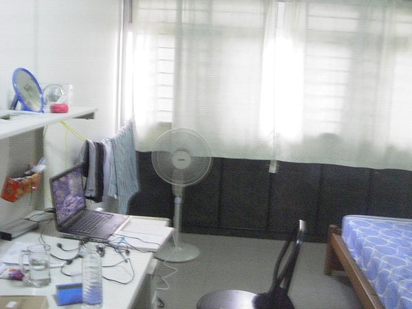 CIMG6728.JPG