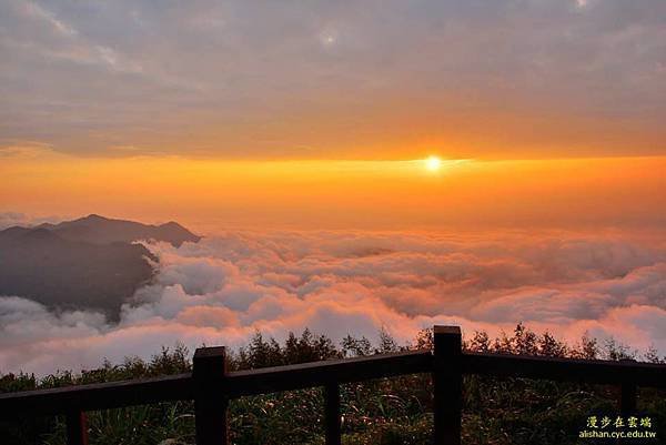 二延平步道雲海02.jpg