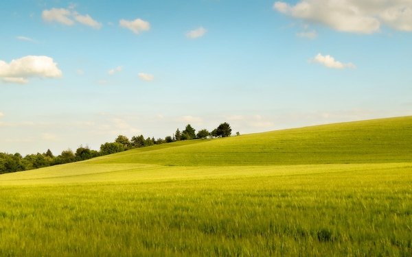 [wallcoo_com]_Blissful_Late_Afternoon.jpg