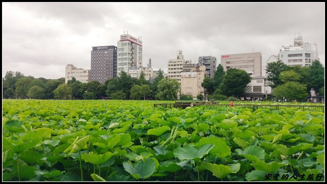 IMAG6260.jpg - 108 日本 旅館  東京