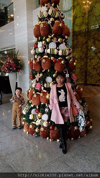 P_20151220_142724.jpg