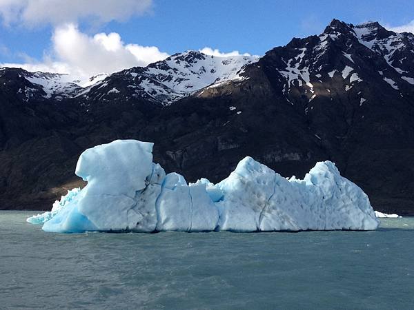 照片ELCALAFATE7