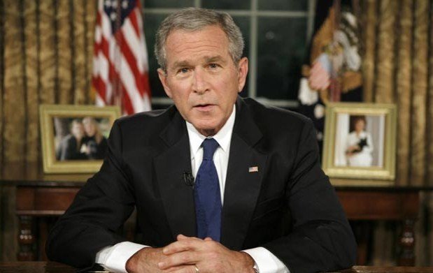 Bush