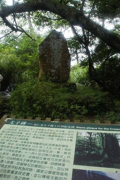 DSC01996.jpg