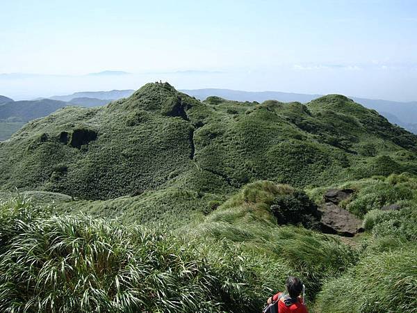 DSC08991.jpg