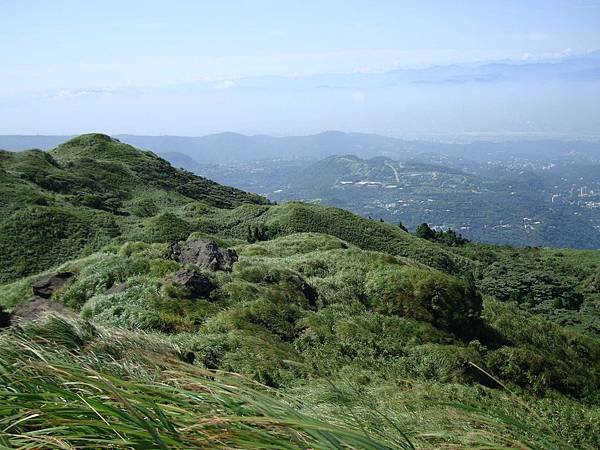 DSC08997.jpg