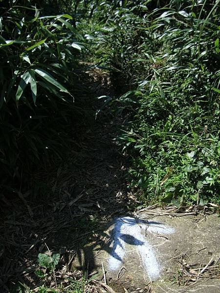 DSC09004.jpg