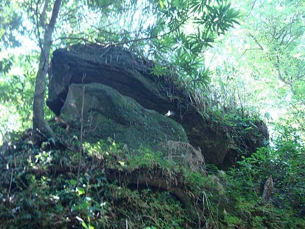 DSC09007.jpg