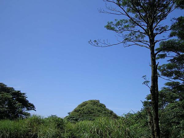 DSC09010.jpg