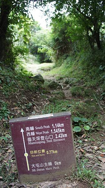 DSC02498.jpg