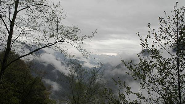 DSC05879
