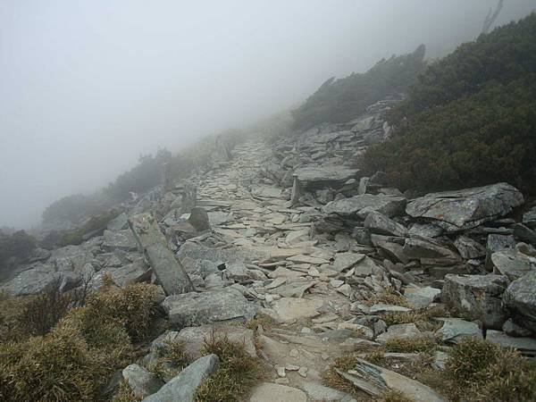 DSC08697.jpg