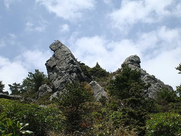 DSC08643.jpg