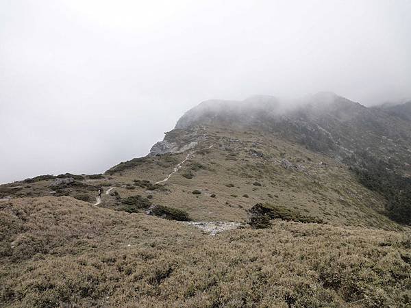 DSC02610.jpg