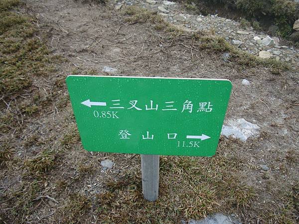 DSC08750.jpg