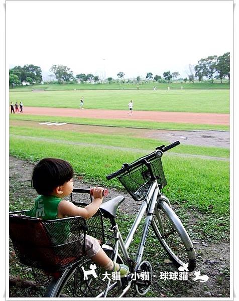 15.JPG