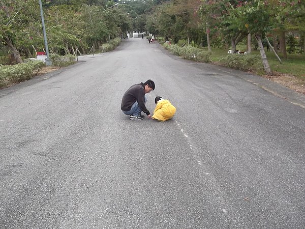 馬路上