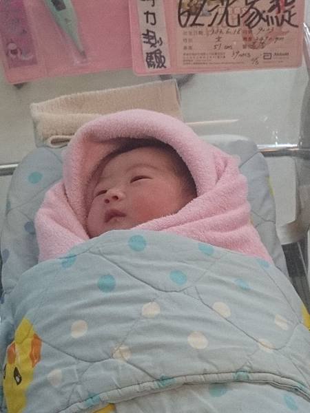 M姊的妹妹出生了
