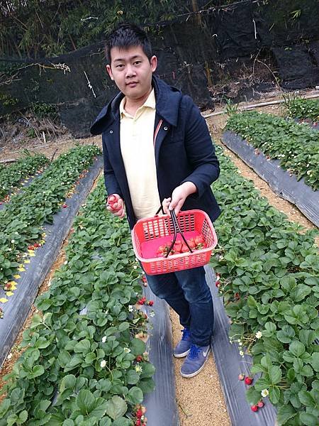 DSC_5082_mr1422688691266