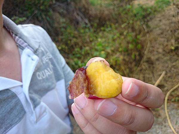 現採現吃